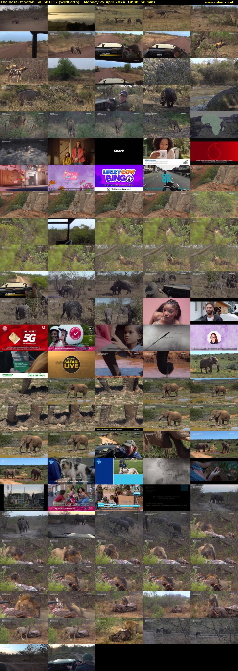 The Best Of SafariLIVE S01E17 (WildEarth) Monday 29 April 2024 19:00 - 20:00