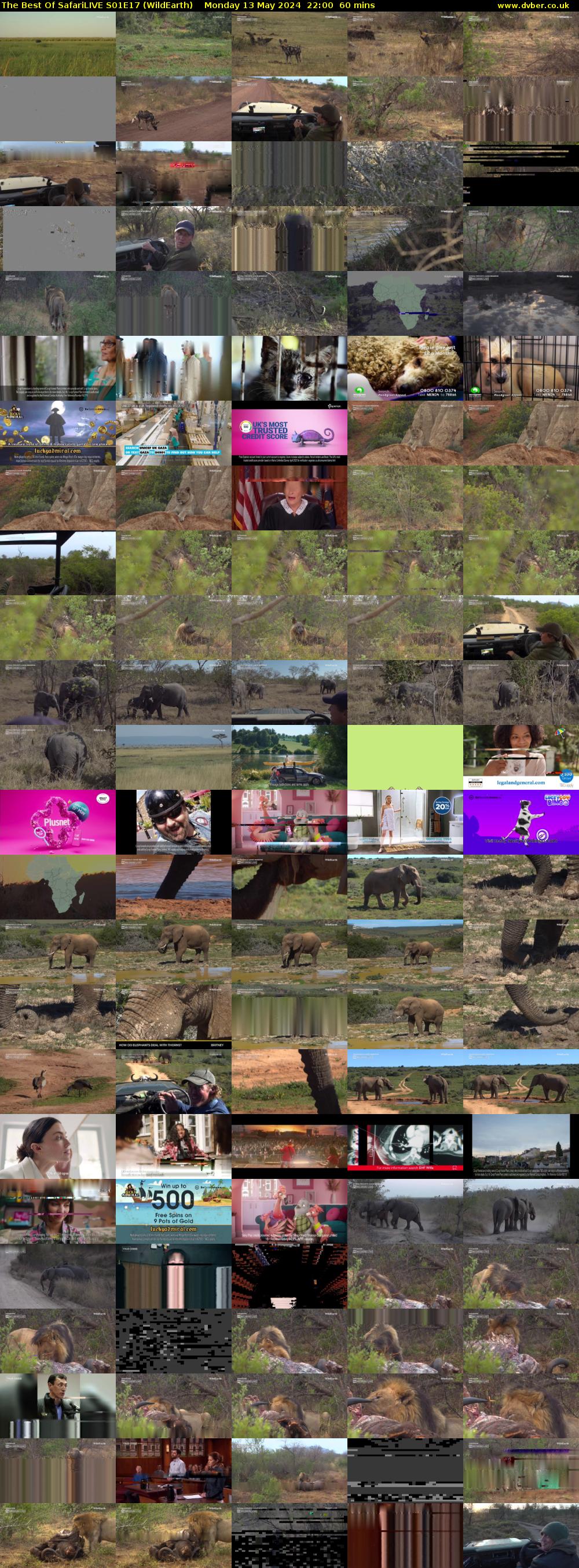 The Best Of SafariLIVE S01E17 (WildEarth) Monday 13 May 2024 22:00 - 23:00