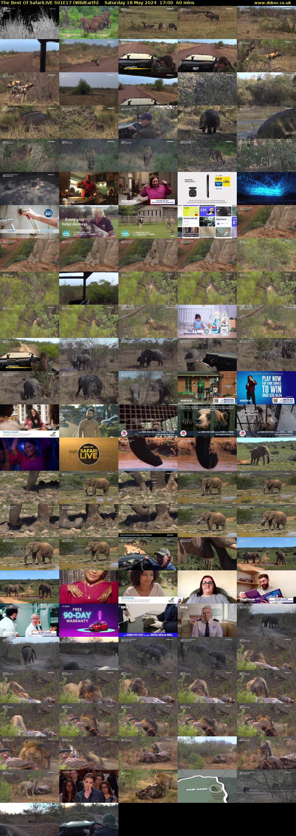 The Best Of SafariLIVE S01E17 (WildEarth) Saturday 18 May 2024 17:00 - 18:00