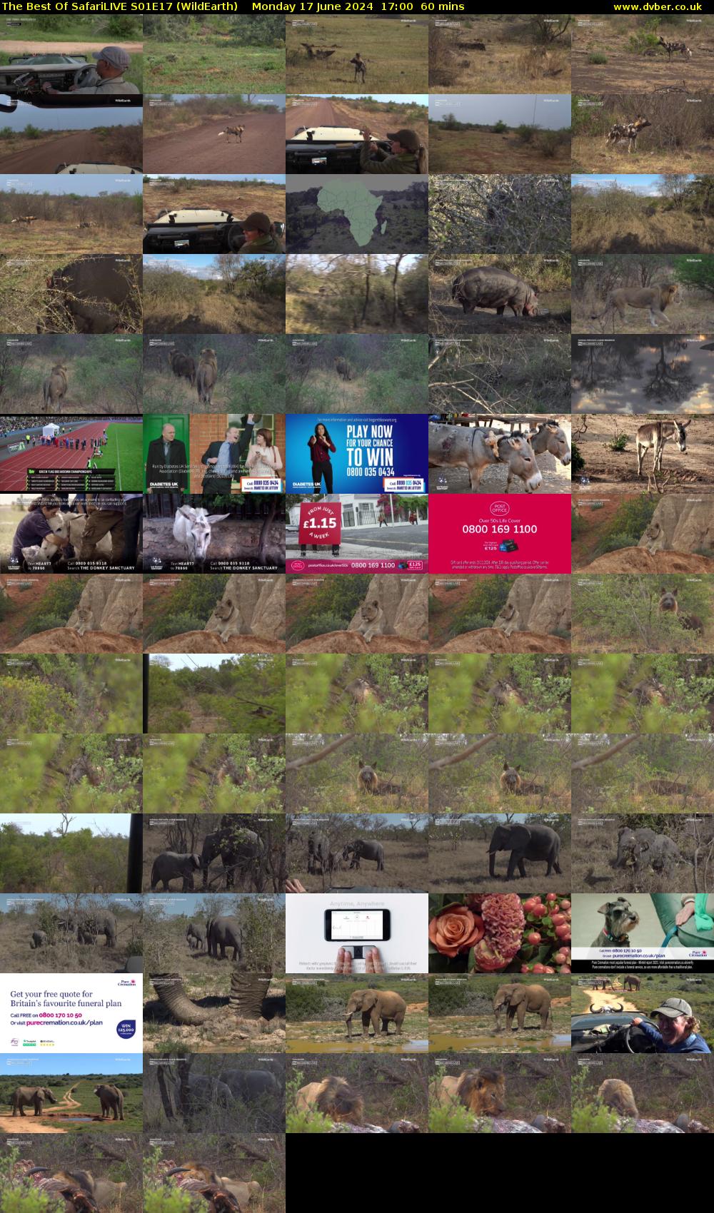 The Best Of SafariLIVE S01E17 (WildEarth) Monday 17 June 2024 17:00 - 18:00