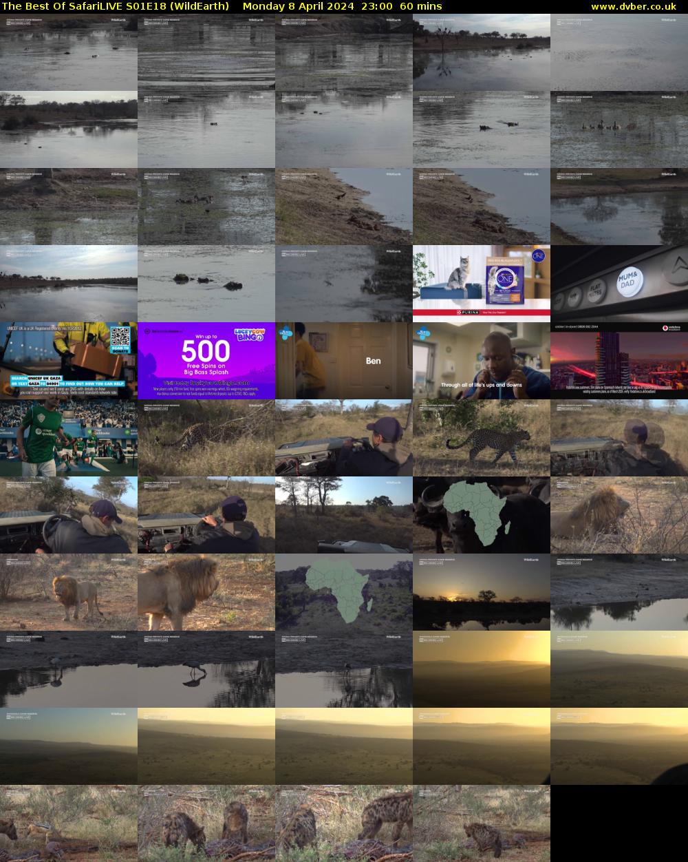 The Best Of SafariLIVE S01E18 (WildEarth) Monday 8 April 2024 23:00 - 00:00