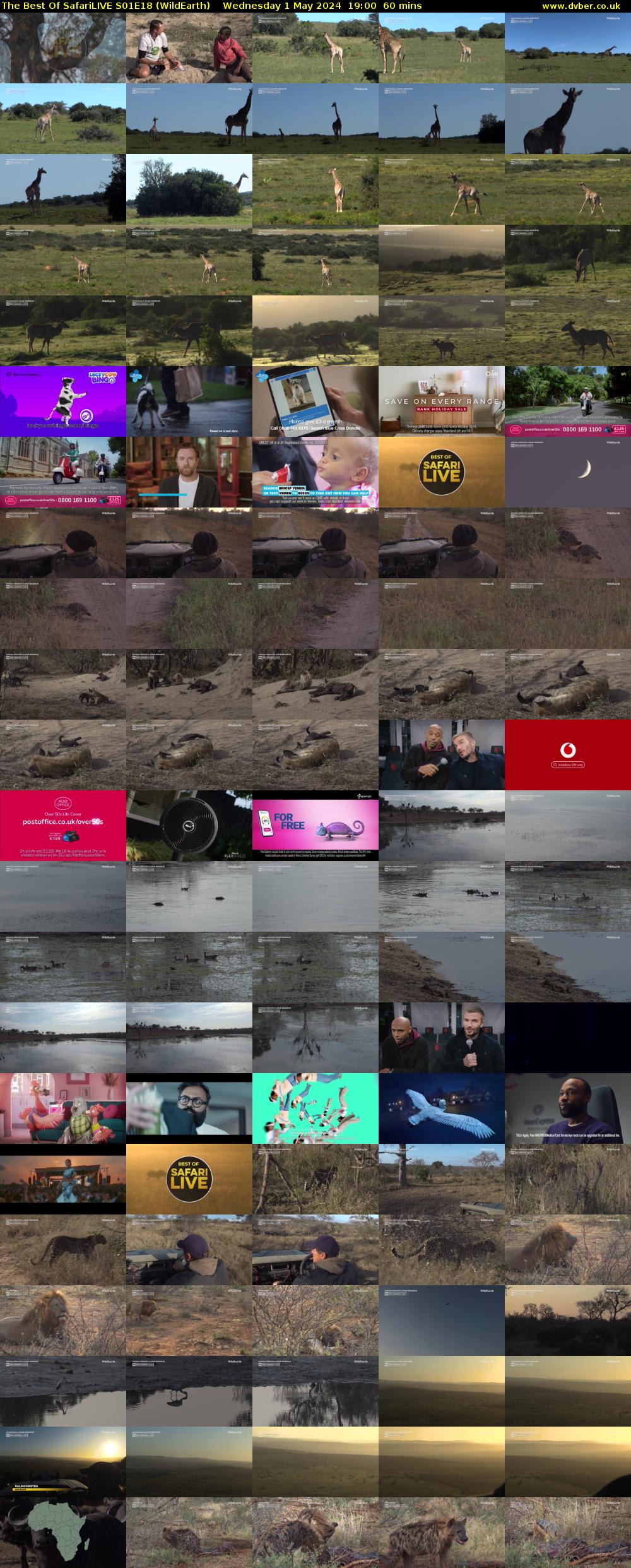 The Best Of SafariLIVE S01E18 (WildEarth) Wednesday 1 May 2024 19:00 - 20:00