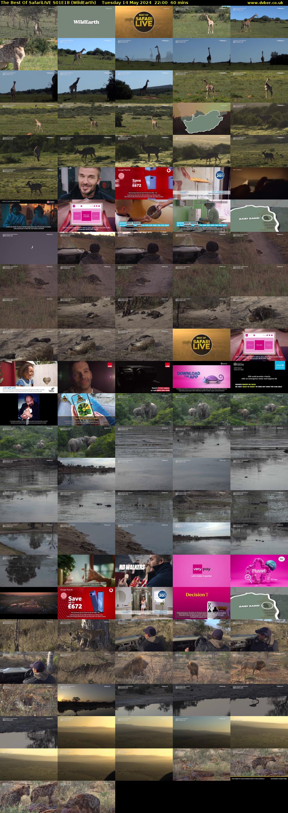 The Best Of SafariLIVE S01E18 (WildEarth) Tuesday 14 May 2024 22:00 - 23:00