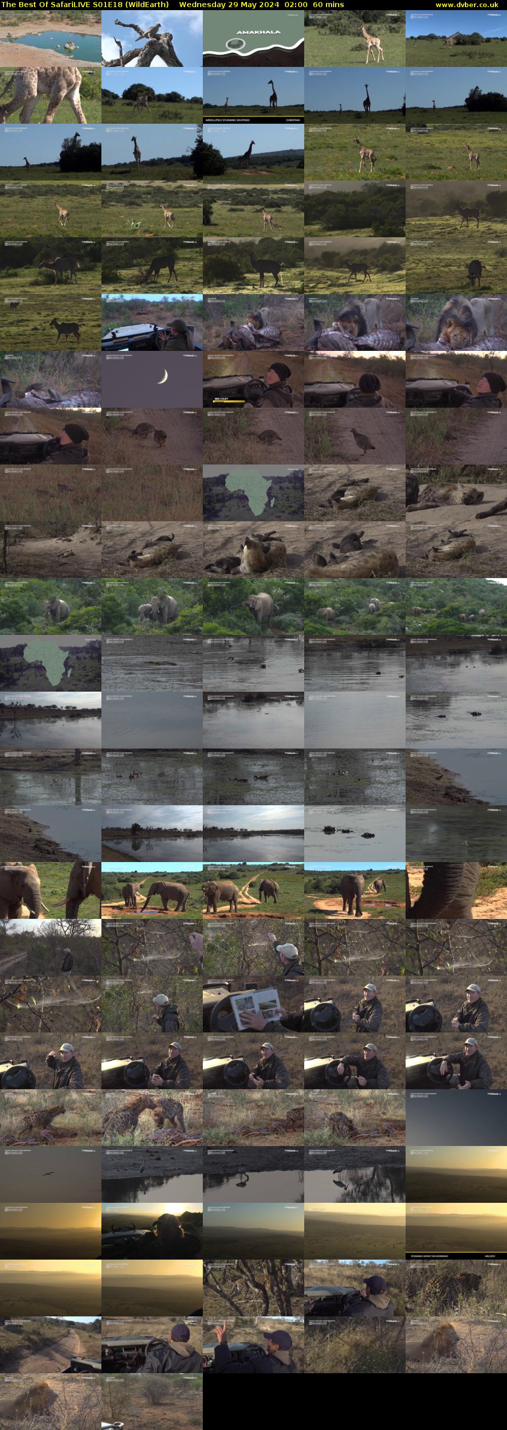 The Best Of SafariLIVE S01E18 (WildEarth) Wednesday 29 May 2024 02:00 - 03:00