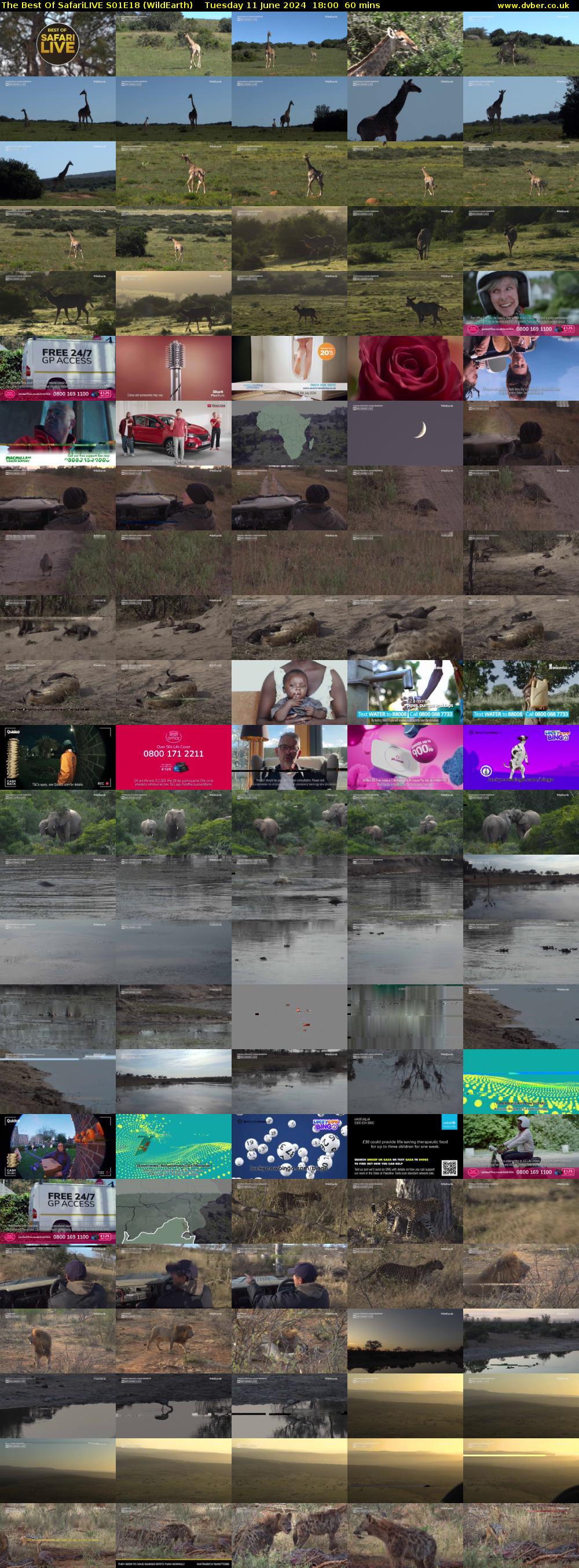The Best Of SafariLIVE S01E18 (WildEarth) Tuesday 11 June 2024 18:00 - 19:00