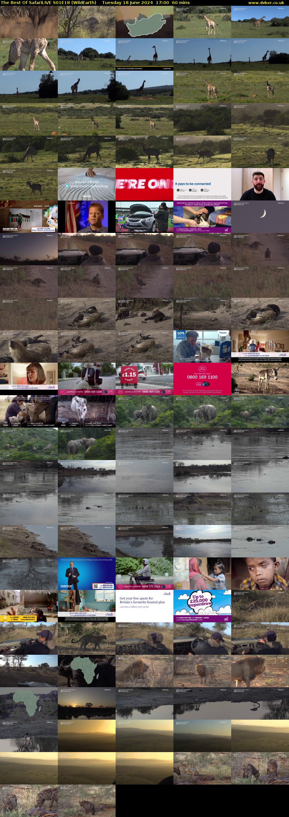 The Best Of SafariLIVE S01E18 (WildEarth) Tuesday 18 June 2024 17:00 - 18:00