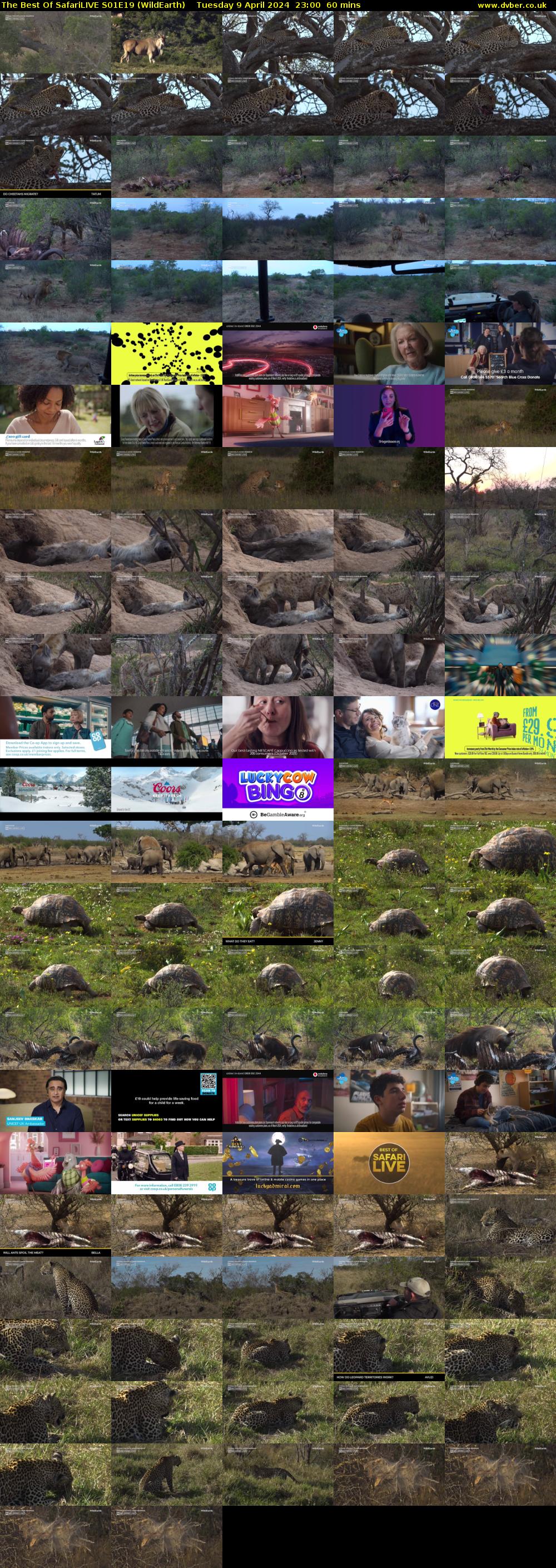The Best Of SafariLIVE S01E19 (WildEarth) Tuesday 9 April 2024 23:00 - 00:00