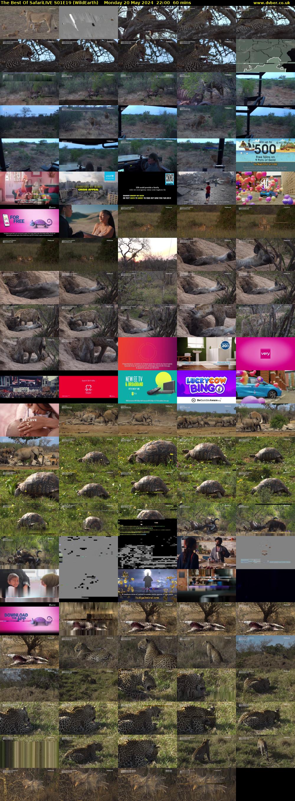 The Best Of SafariLIVE S01E19 (WildEarth) Monday 20 May 2024 22:00 - 23:00
