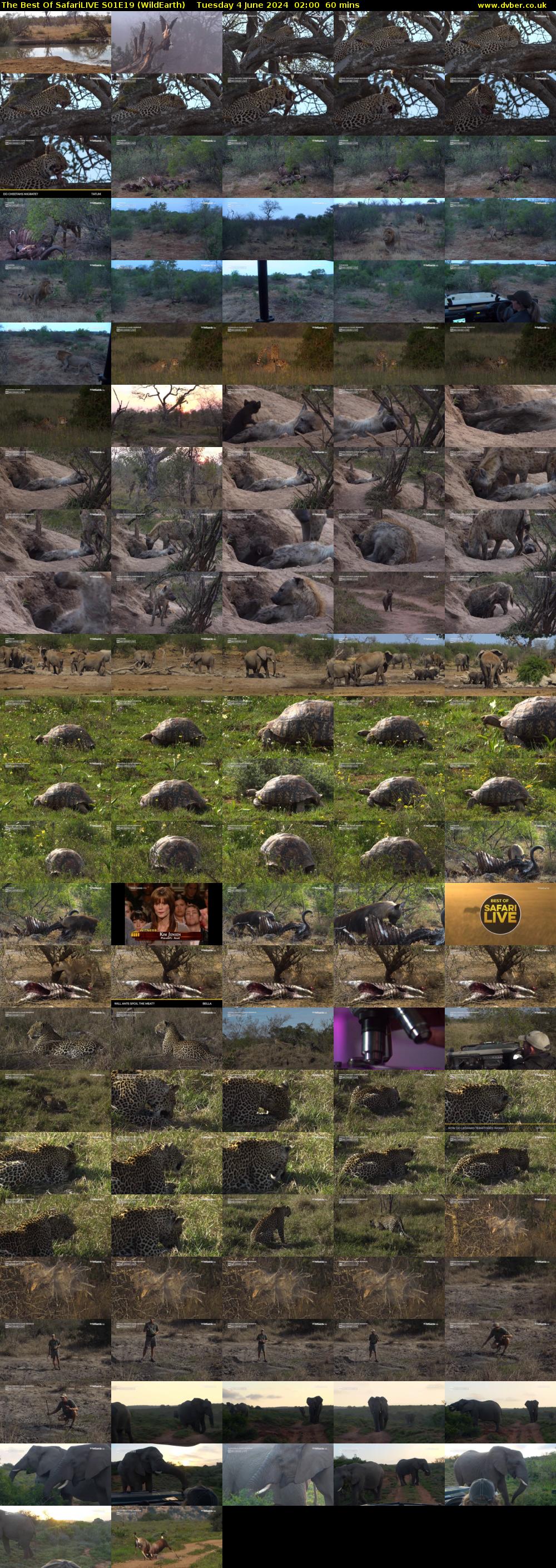 The Best Of SafariLIVE S01E19 (WildEarth) Tuesday 4 June 2024 02:00 - 03:00