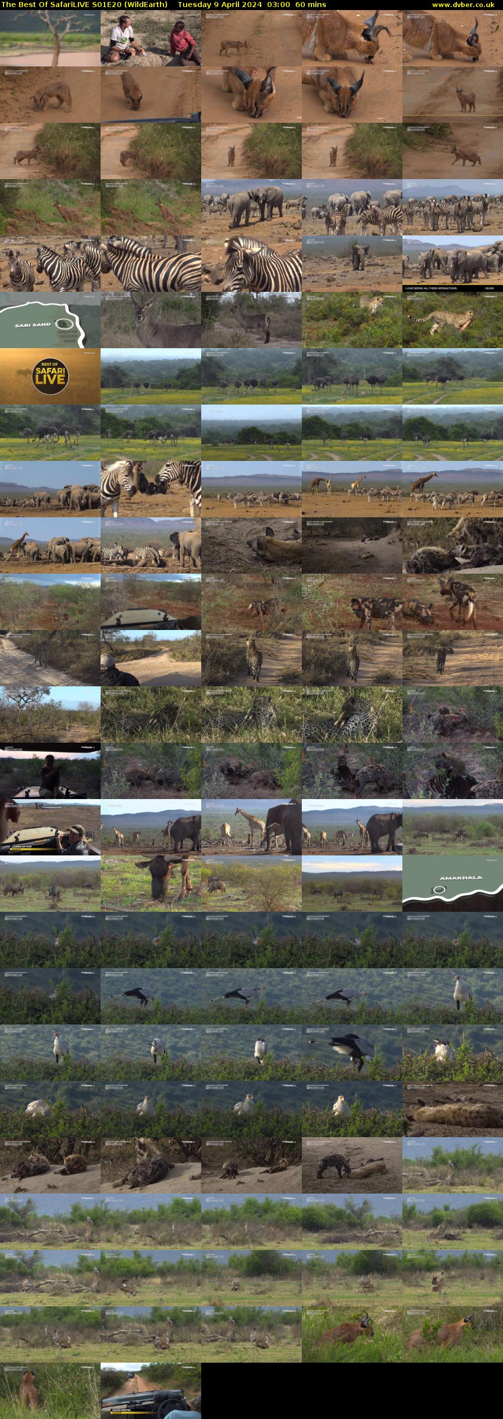 The Best Of SafariLIVE S01E20 (WildEarth) Tuesday 9 April 2024 03:00 - 04:00