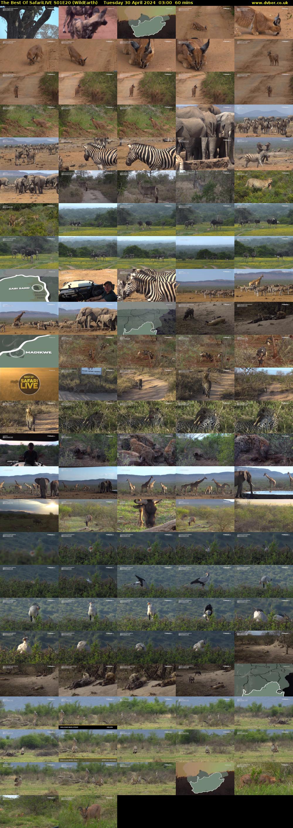 The Best Of SafariLIVE S01E20 (WildEarth) Tuesday 30 April 2024 03:00 - 04:00