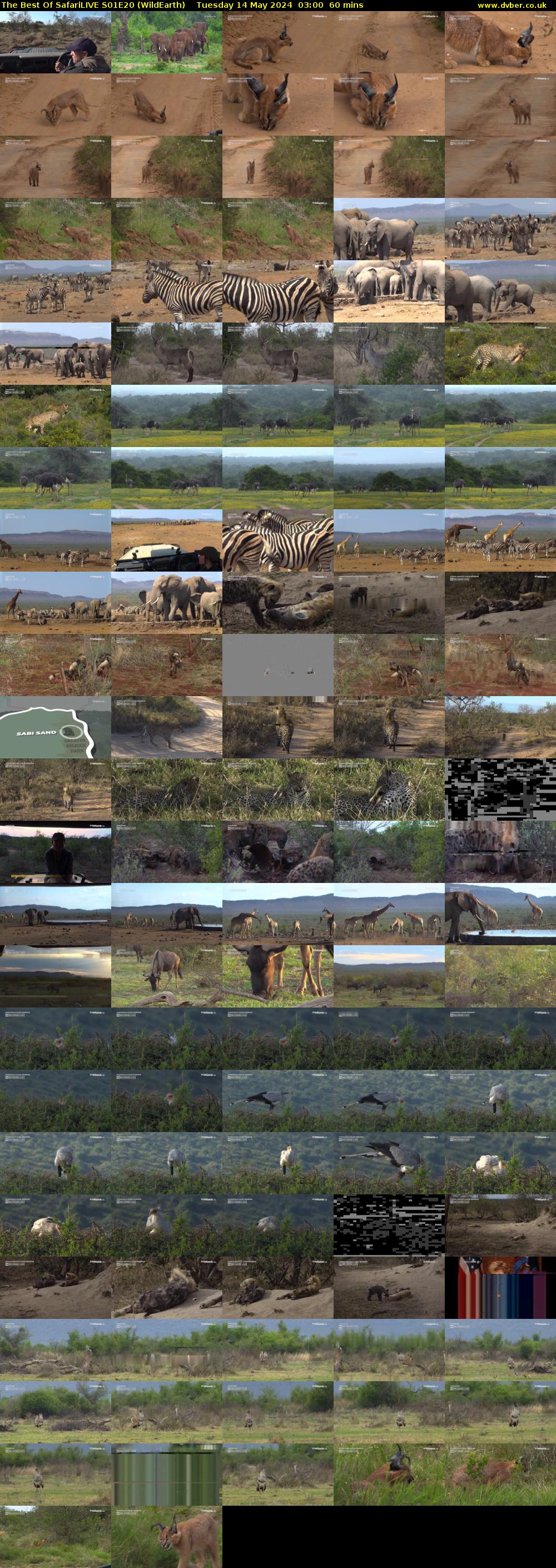 The Best Of SafariLIVE S01E20 (WildEarth) Tuesday 14 May 2024 03:00 - 04:00