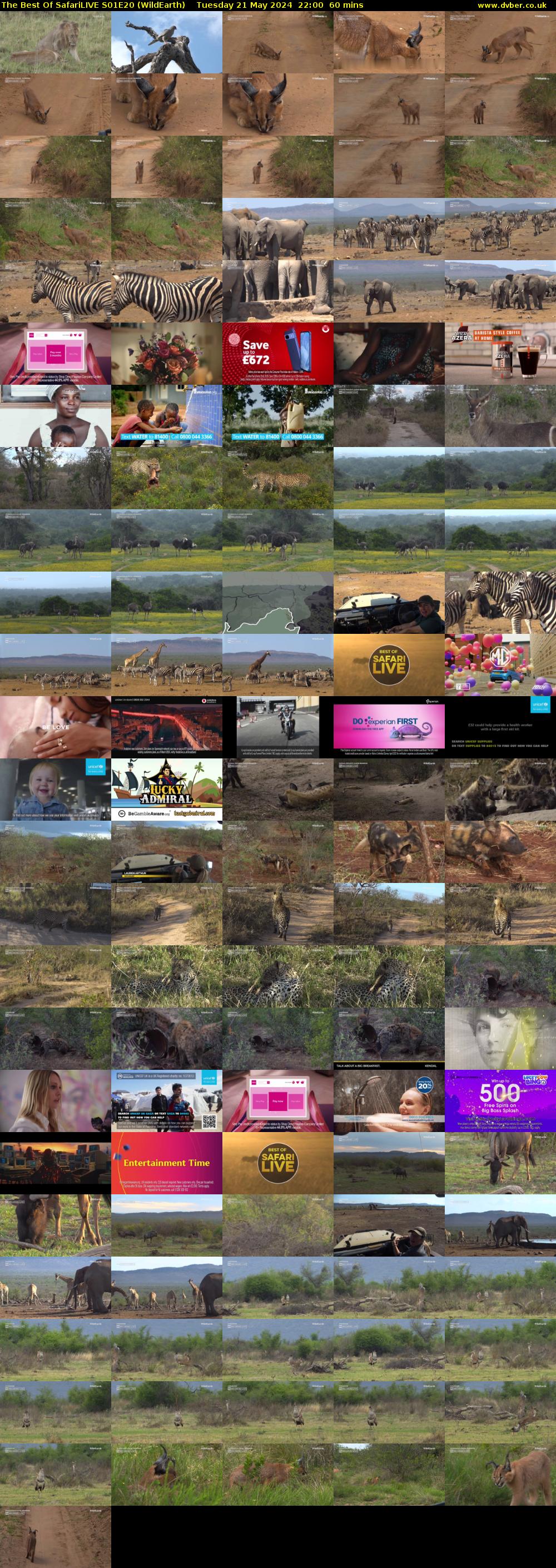 The Best Of SafariLIVE S01E20 (WildEarth) Tuesday 21 May 2024 22:00 - 23:00