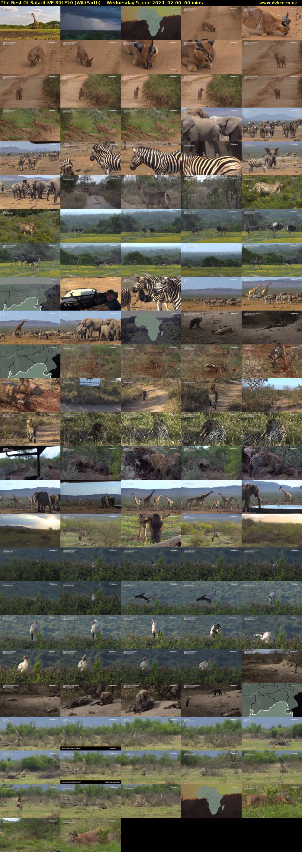 The Best Of SafariLIVE S01E20 (WildEarth) Wednesday 5 June 2024 02:00 - 03:00
