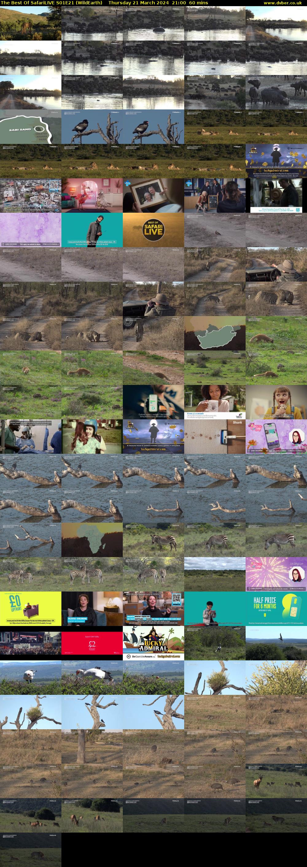 The Best Of SafariLIVE S01E21 (WildEarth) Thursday 21 March 2024 21:00 - 22:00