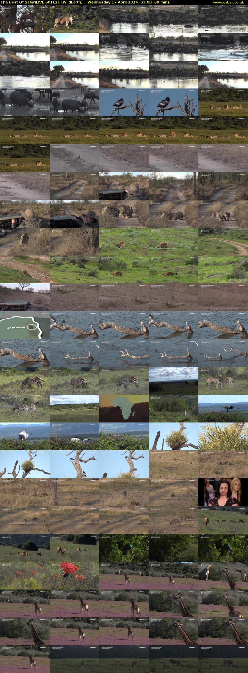 The Best Of SafariLIVE S01E21 (WildEarth) Wednesday 17 April 2024 03:00 - 04:00