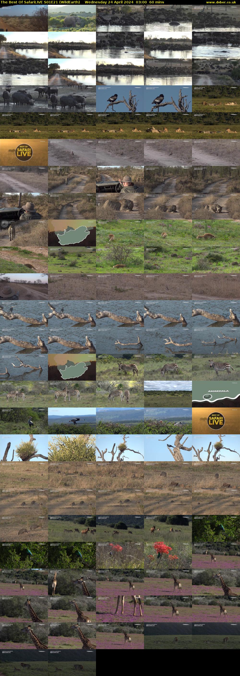 The Best Of SafariLIVE S01E21 (WildEarth) Wednesday 24 April 2024 03:00 - 04:00