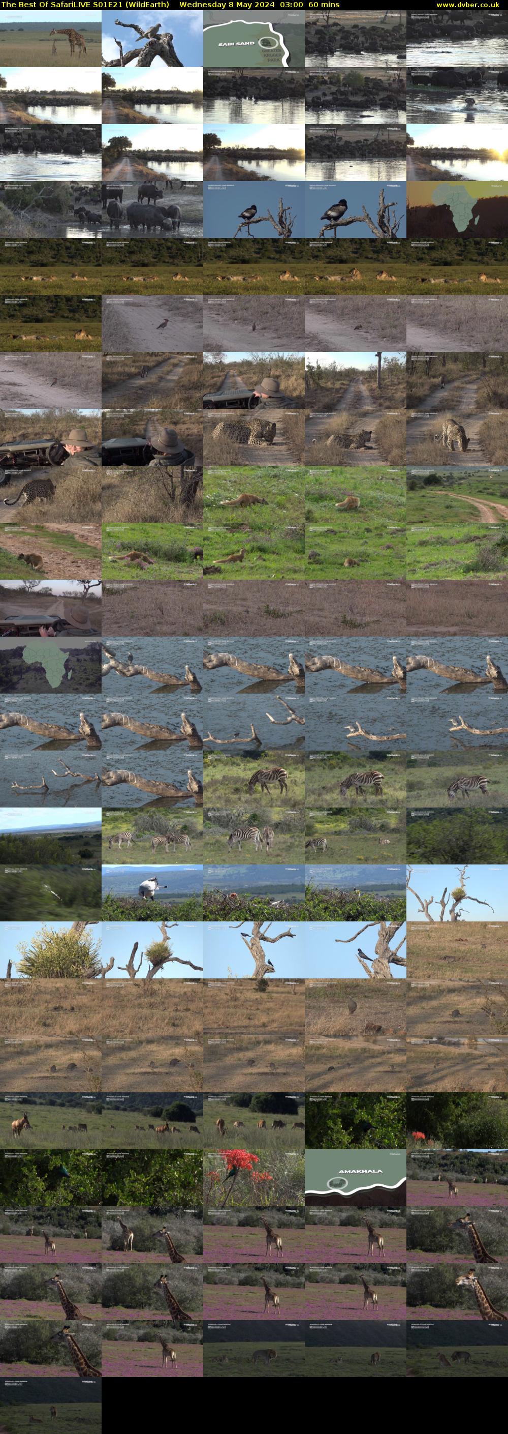 The Best Of SafariLIVE S01E21 (WildEarth) Wednesday 8 May 2024 03:00 - 04:00