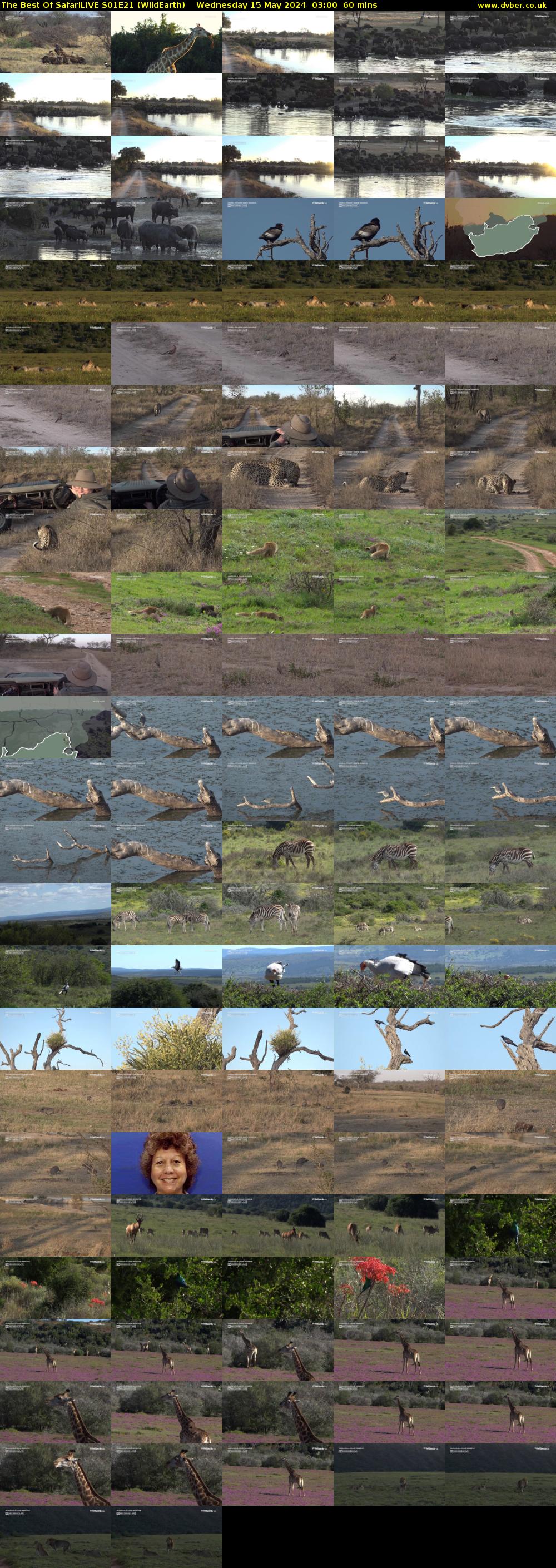 The Best Of SafariLIVE S01E21 (WildEarth) Wednesday 15 May 2024 03:00 - 04:00