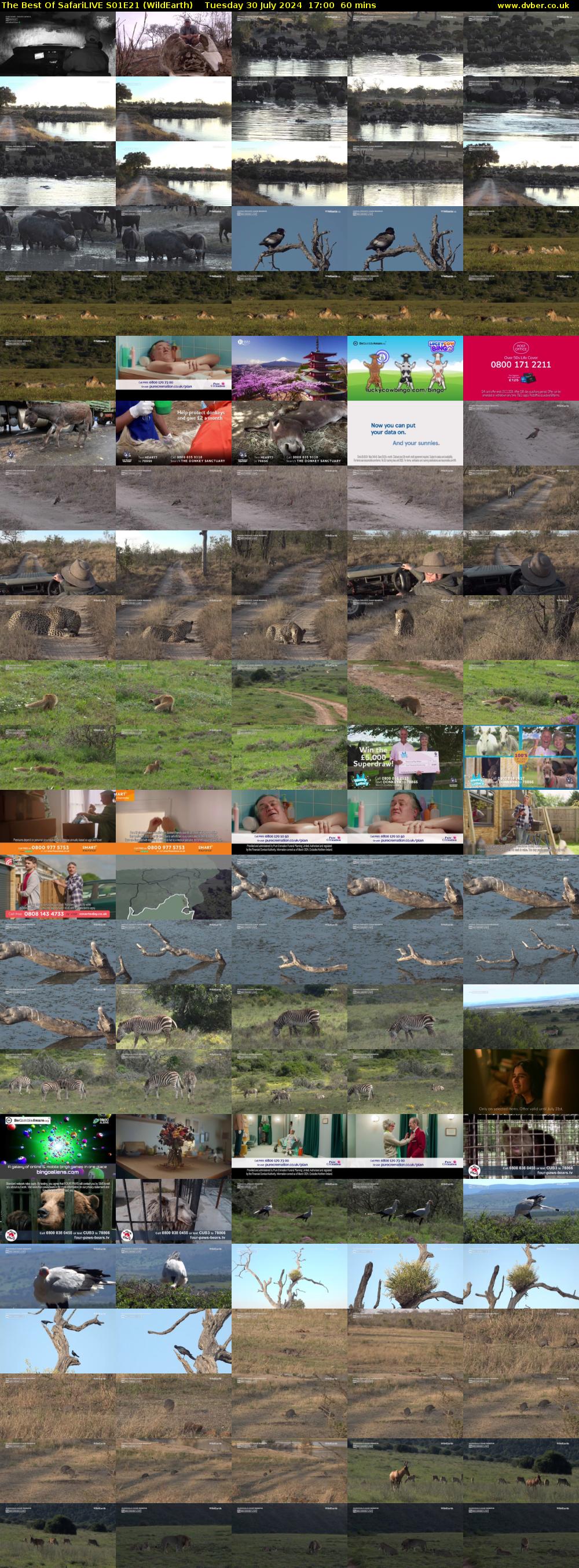 The Best Of SafariLIVE S01E21 (WildEarth) Tuesday 30 July 2024 17:00 - 18:00