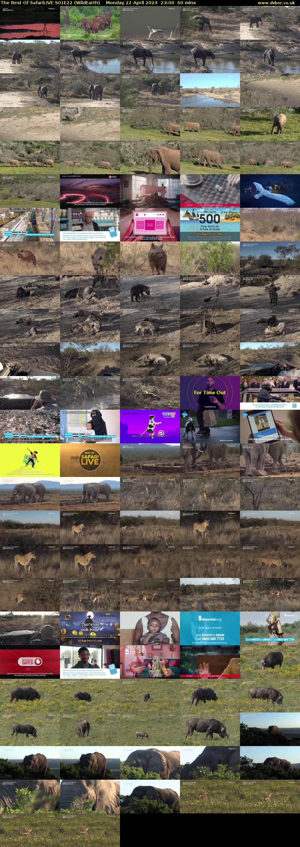 The Best Of SafariLIVE S01E22 (WildEarth) Monday 22 April 2024 23:00 - 00:00