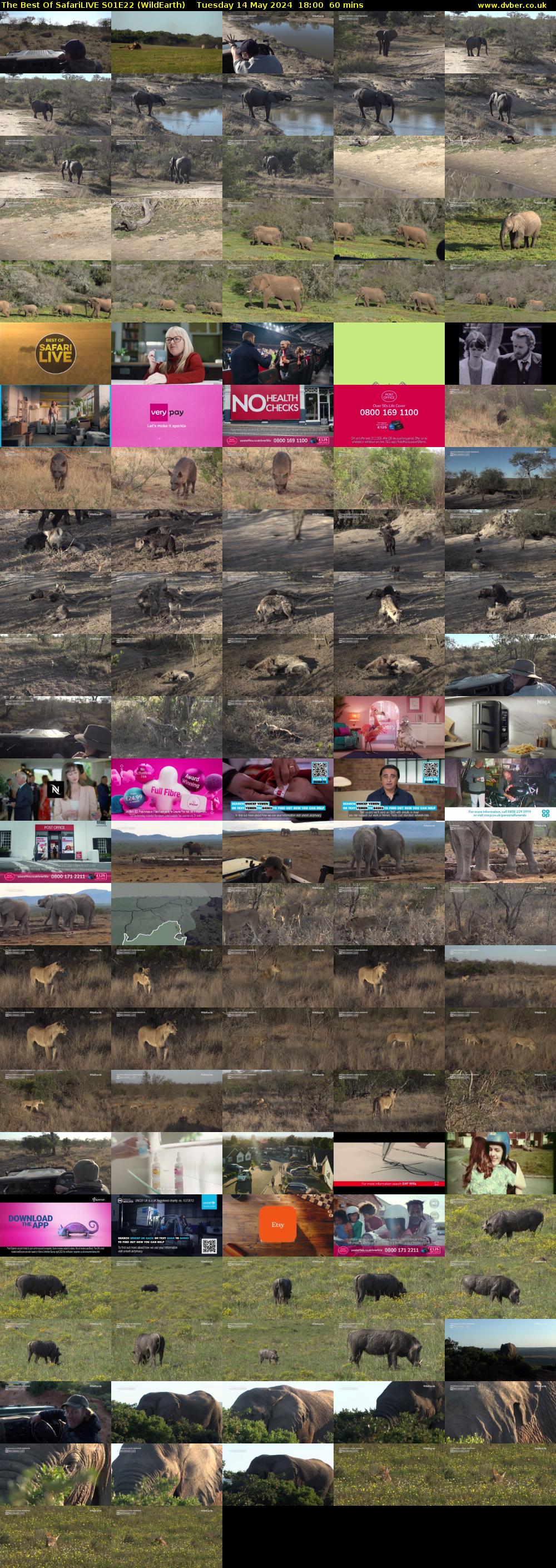 The Best Of SafariLIVE S01E22 (WildEarth) Tuesday 14 May 2024 18:00 - 19:00