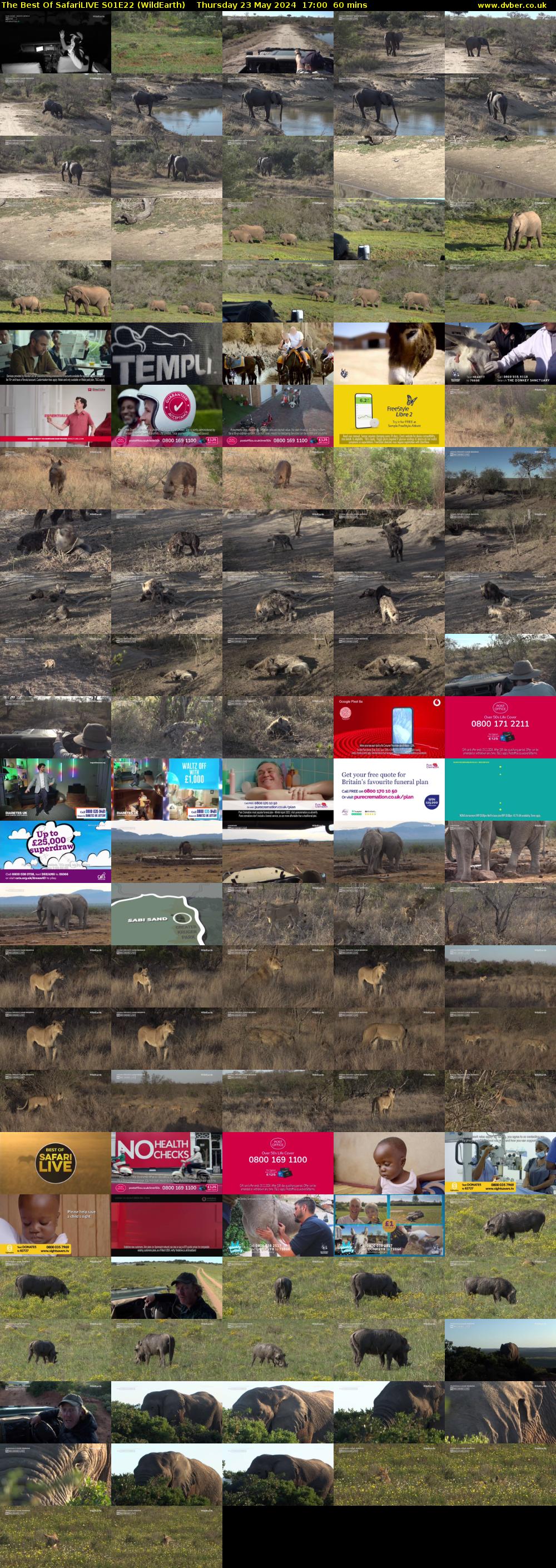 The Best Of SafariLIVE S01E22 (WildEarth) Thursday 23 May 2024 17:00 - 18:00