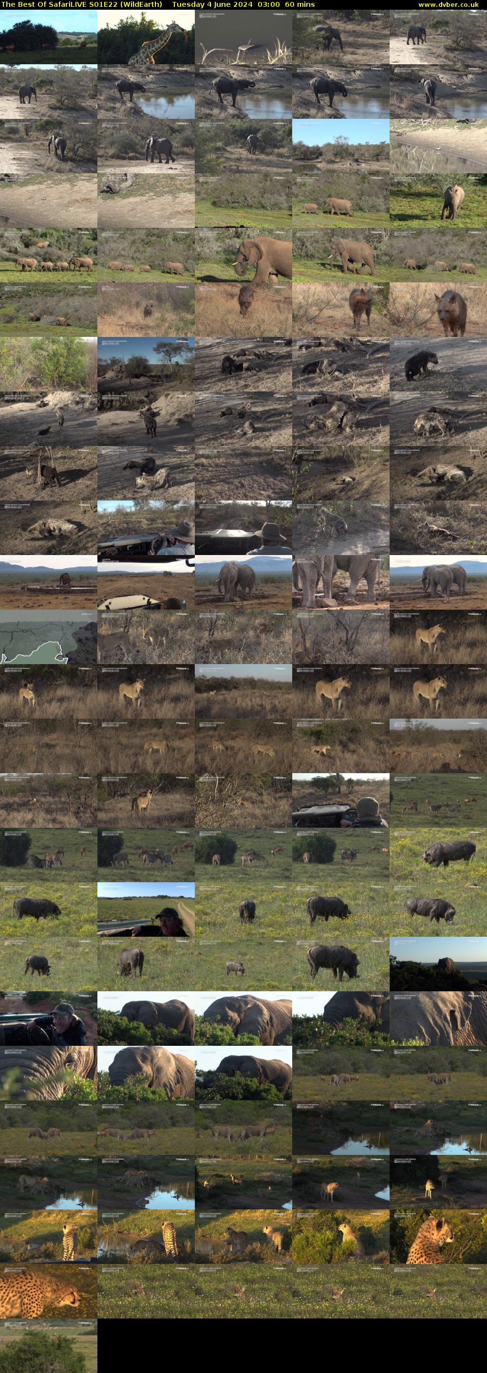 The Best Of SafariLIVE S01E22 (WildEarth) Tuesday 4 June 2024 03:00 - 04:00