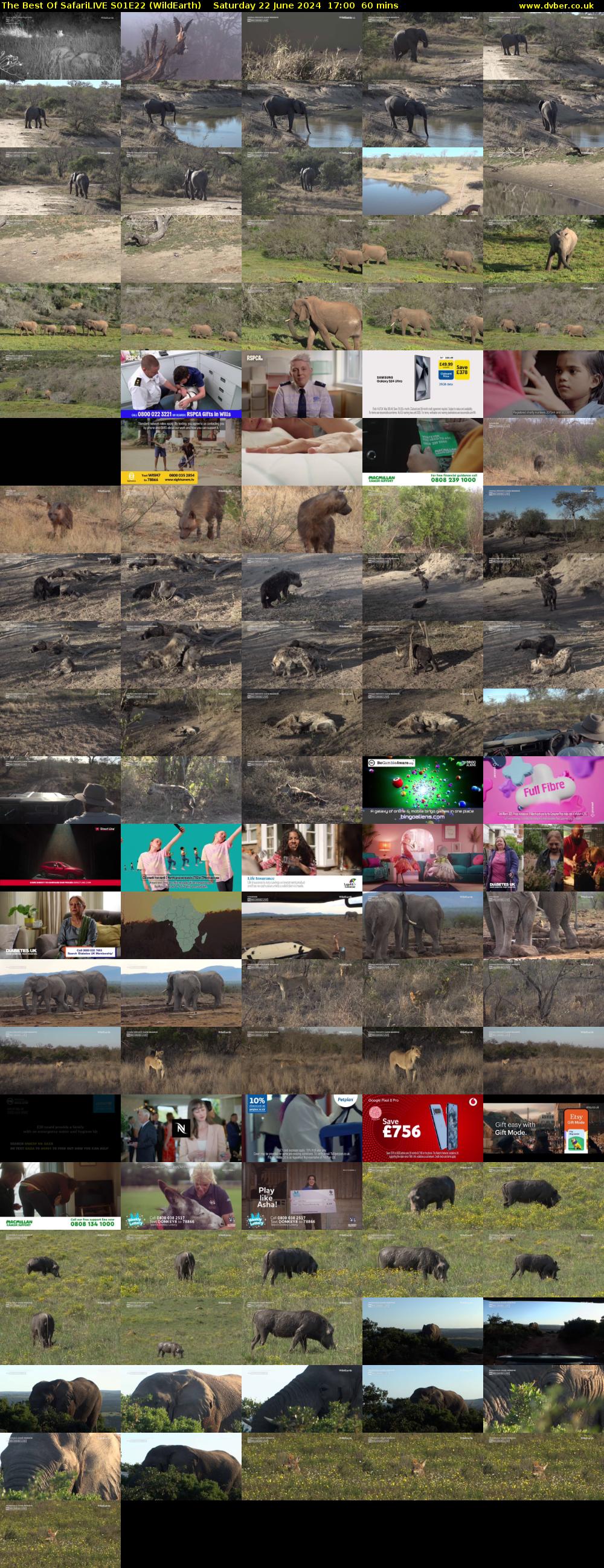 The Best Of SafariLIVE S01E22 (WildEarth) Saturday 22 June 2024 17:00 - 18:00