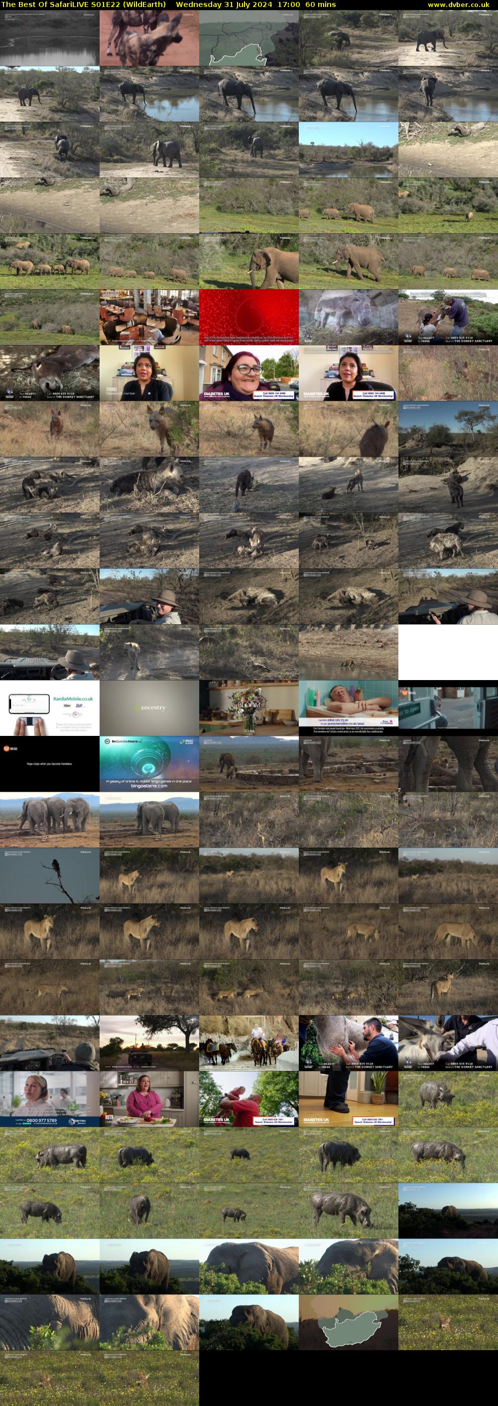 The Best Of SafariLIVE S01E22 (WildEarth) Wednesday 31 July 2024 17:00 - 18:00