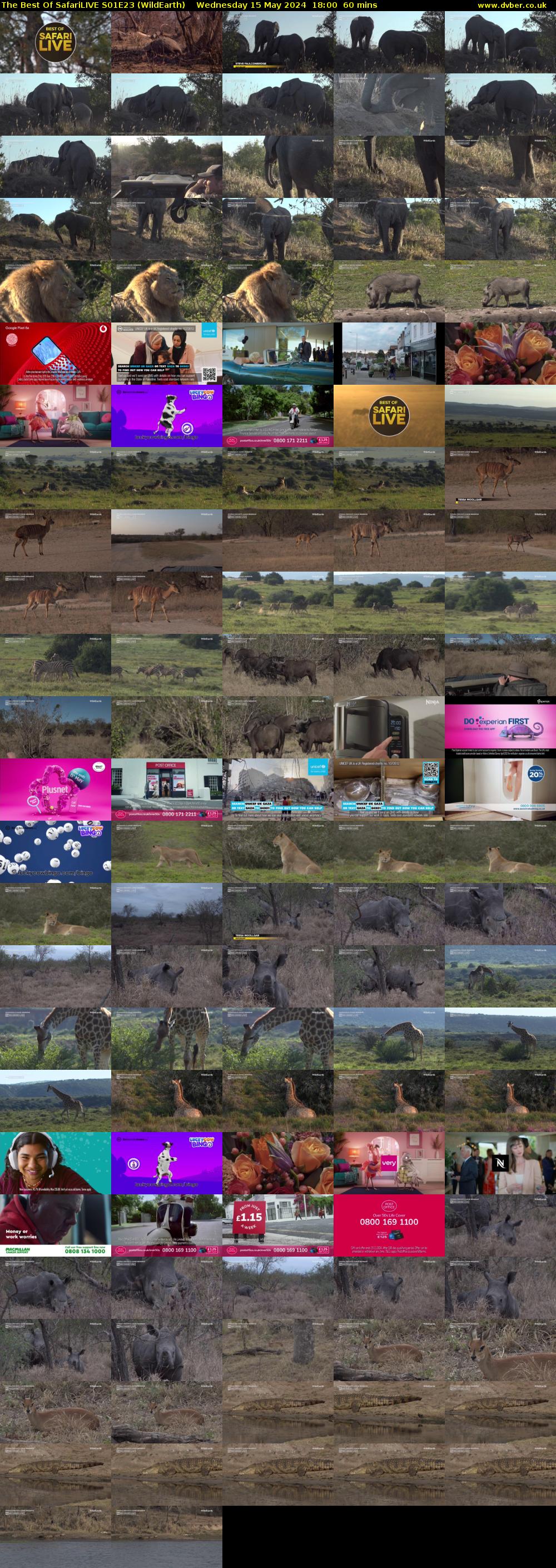 The Best Of SafariLIVE S01E23 (WildEarth) Wednesday 15 May 2024 18:00 - 19:00