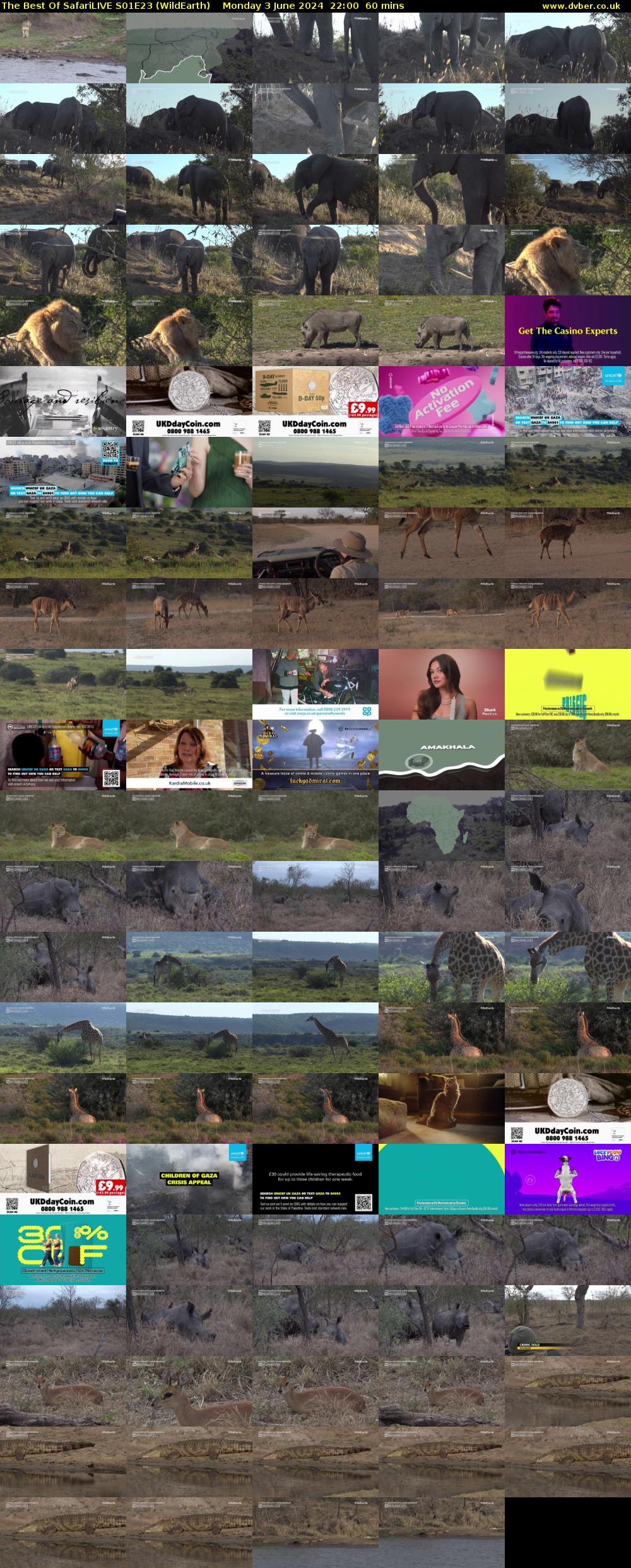The Best Of SafariLIVE S01E23 (WildEarth) Monday 3 June 2024 22:00 - 23:00