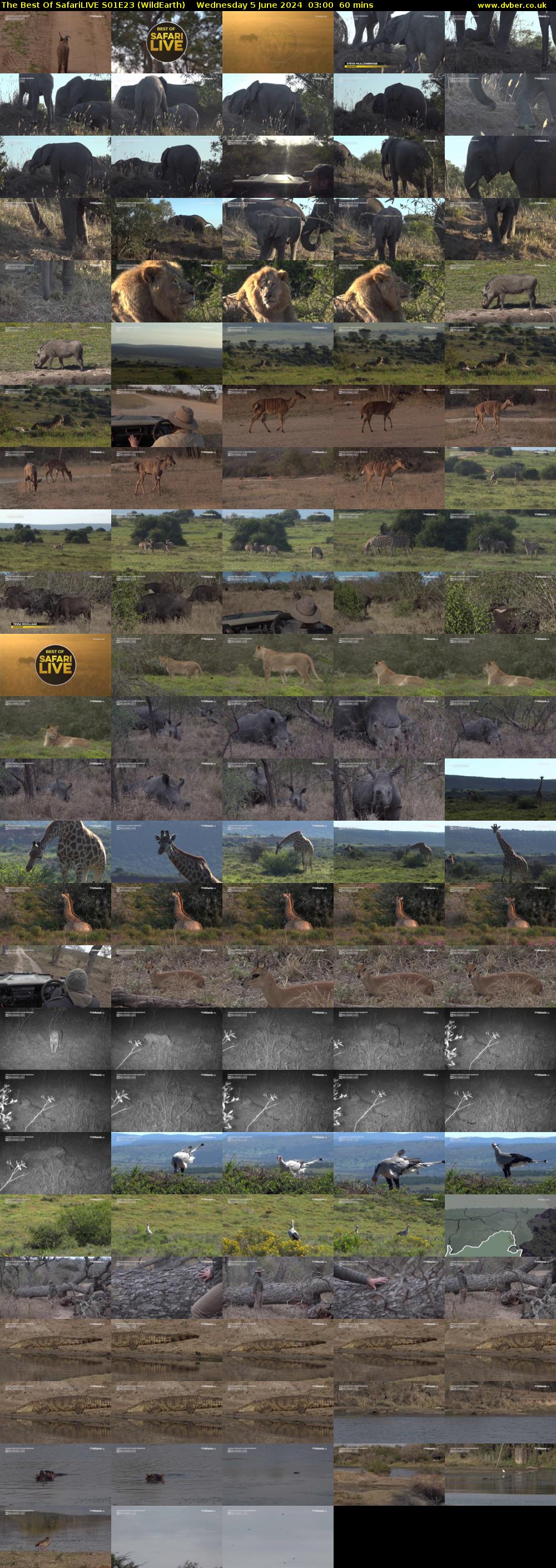 The Best Of SafariLIVE S01E23 (WildEarth) Wednesday 5 June 2024 03:00 - 04:00