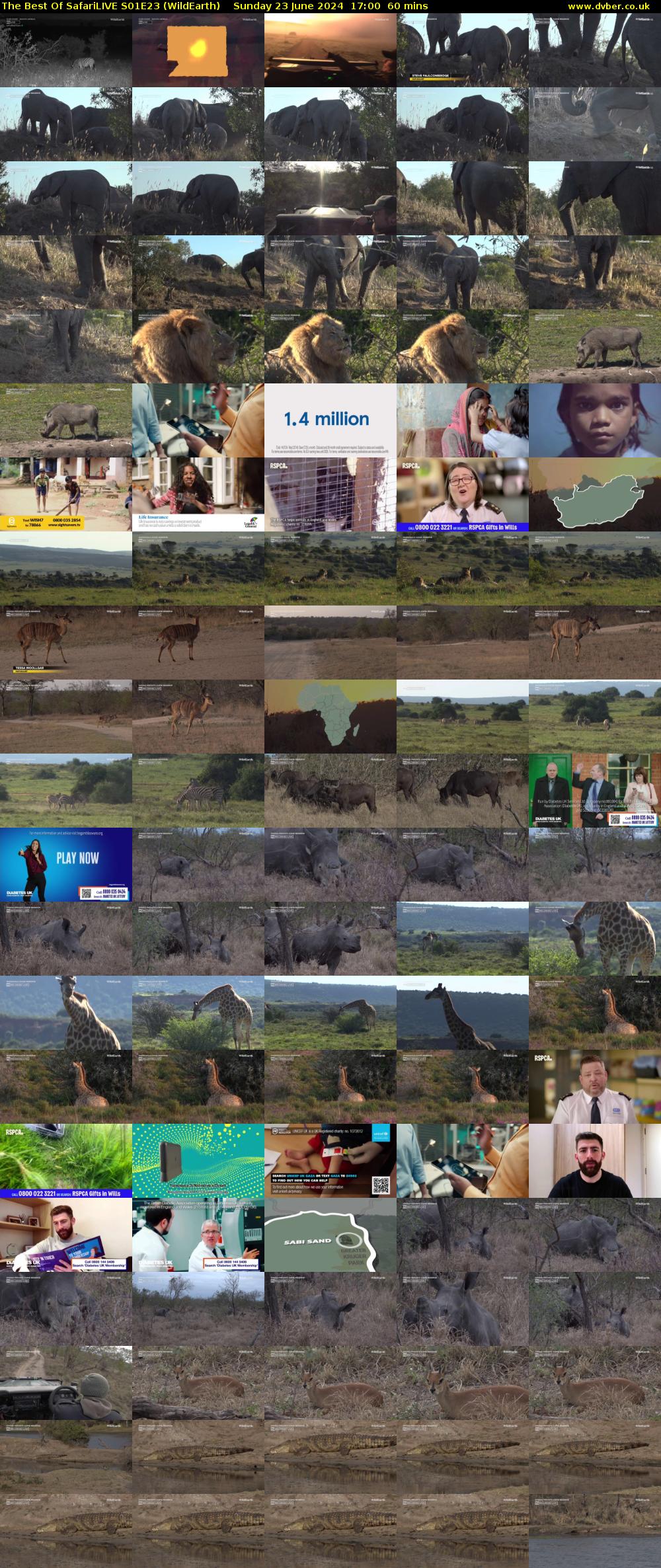 The Best Of SafariLIVE S01E23 (WildEarth) Sunday 23 June 2024 17:00 - 18:00