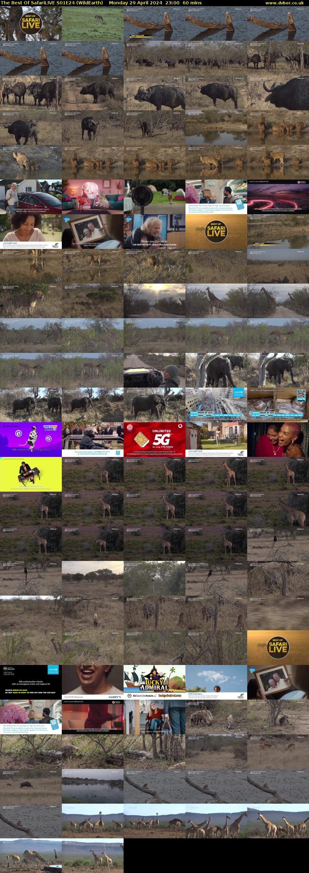 The Best Of SafariLIVE S01E24 (WildEarth) Monday 29 April 2024 23:00 - 00:00