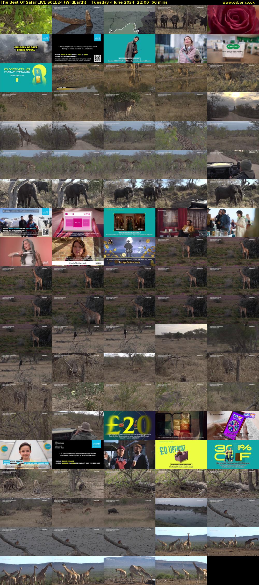 The Best Of SafariLIVE S01E24 (WildEarth) Tuesday 4 June 2024 22:00 - 23:00