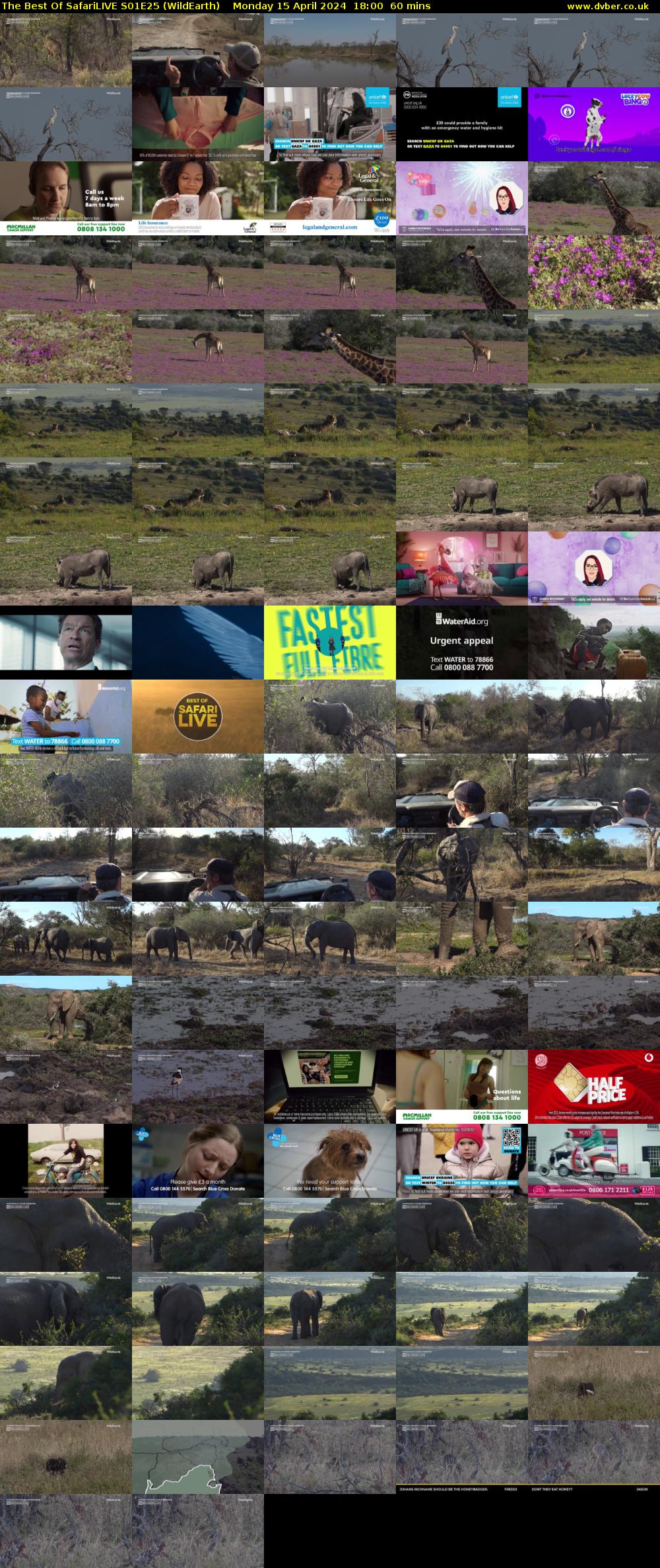 The Best Of SafariLIVE S01E25 (WildEarth) Monday 15 April 2024 18:00 - 19:00