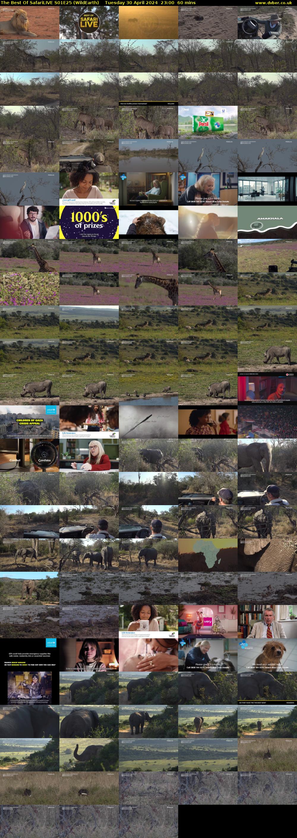 The Best Of SafariLIVE S01E25 (WildEarth) Tuesday 30 April 2024 23:00 - 00:00