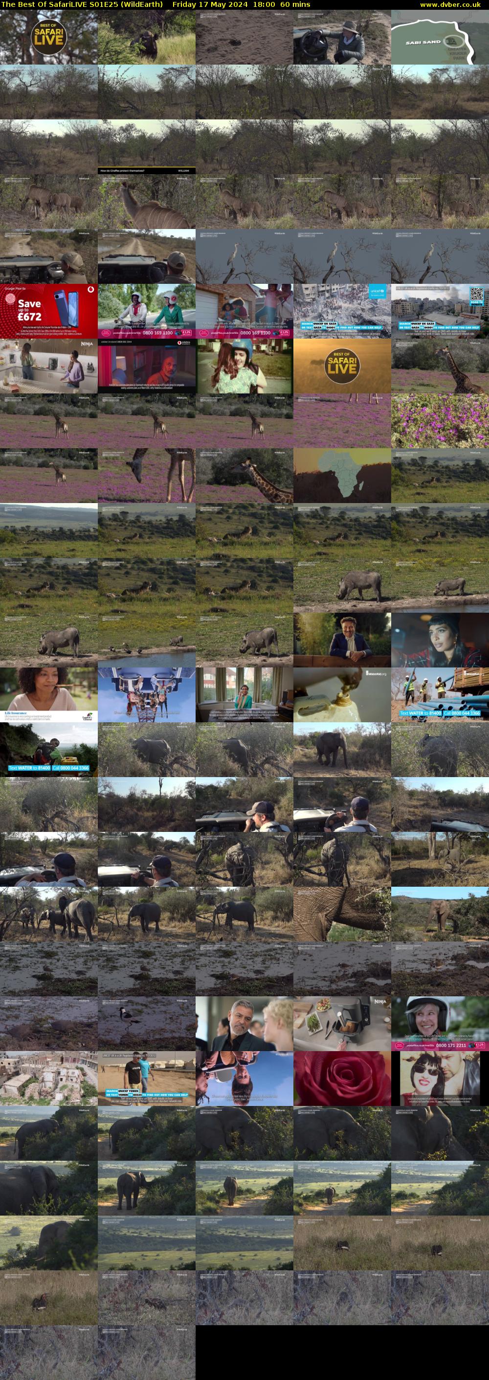 The Best Of SafariLIVE S01E25 (WildEarth) Friday 17 May 2024 18:00 - 19:00