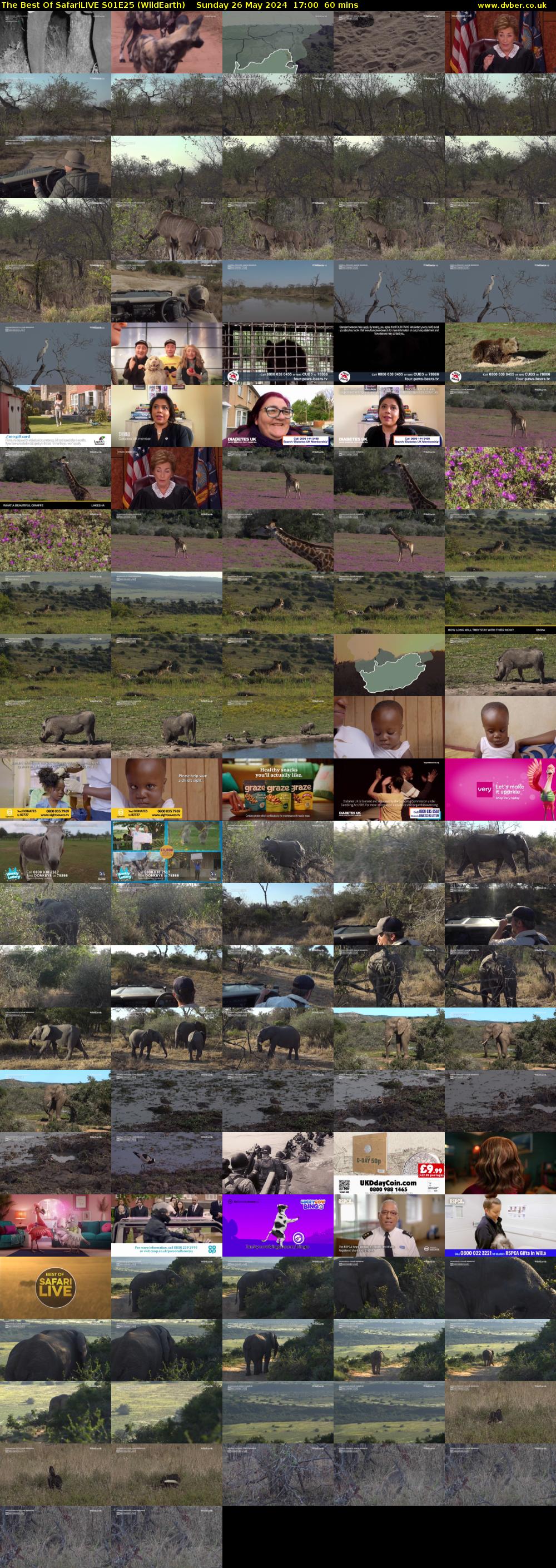 The Best Of SafariLIVE S01E25 (WildEarth) Sunday 26 May 2024 17:00 - 18:00