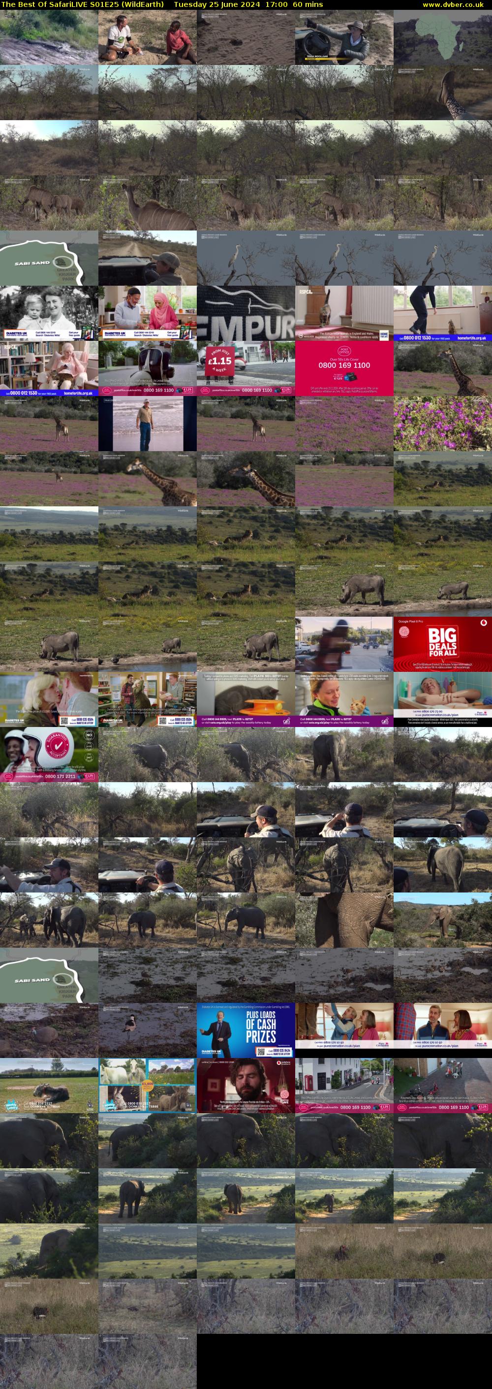 The Best Of SafariLIVE S01E25 (WildEarth) Tuesday 25 June 2024 17:00 - 18:00