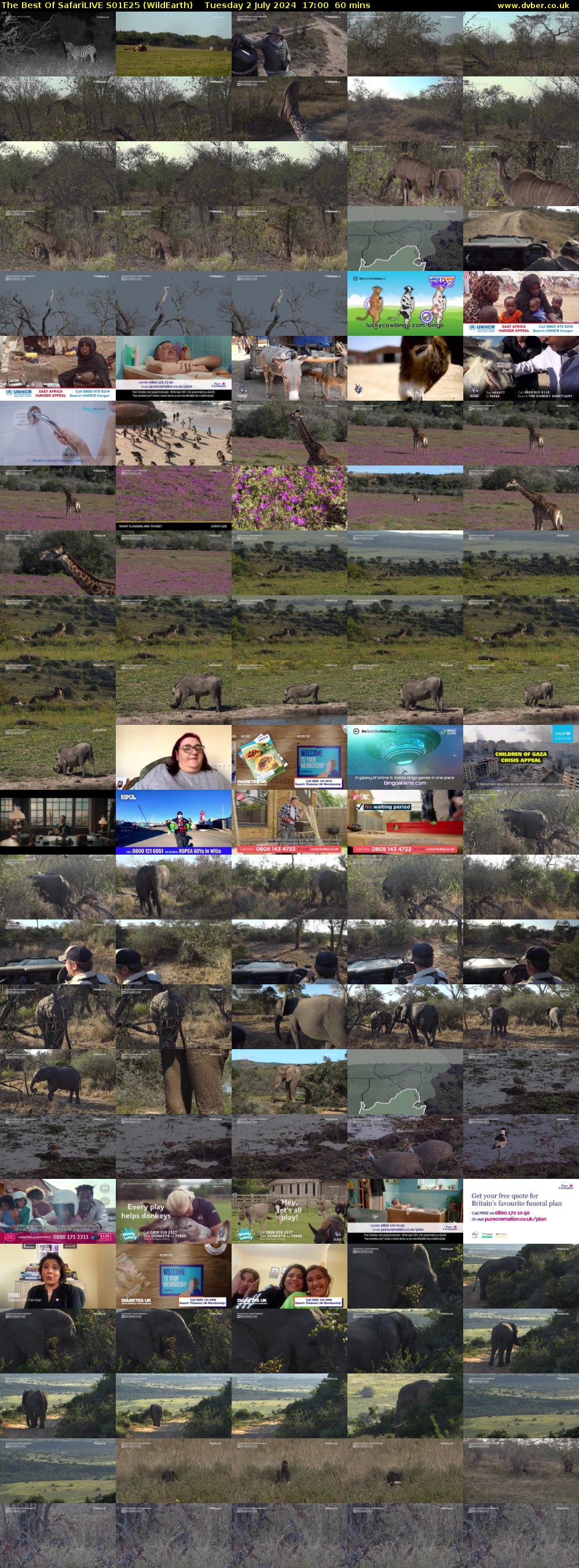 The Best Of SafariLIVE S01E25 (WildEarth) Tuesday 2 July 2024 17:00 - 18:00