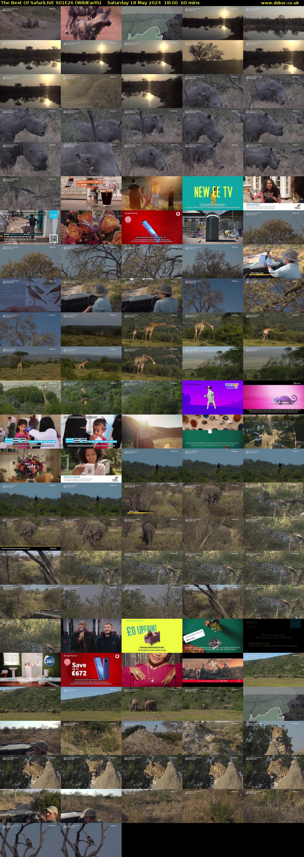 The Best Of SafariLIVE S01E26 (WildEarth) Saturday 18 May 2024 18:00 - 19:00