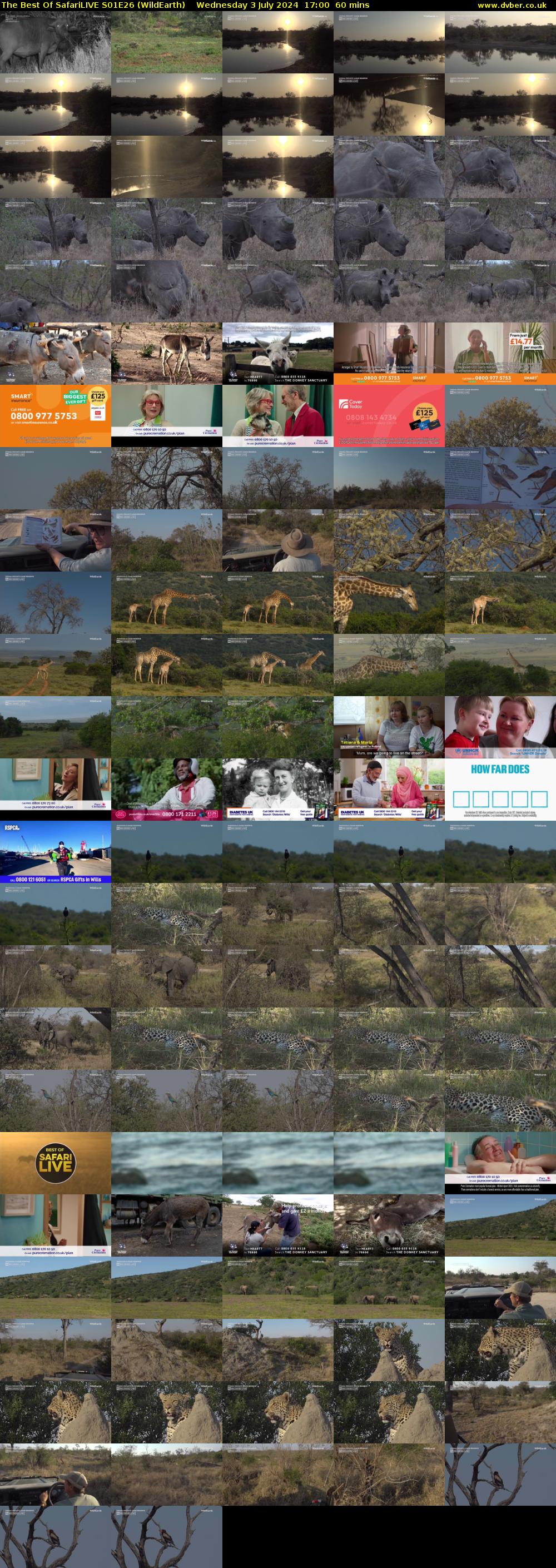 The Best Of SafariLIVE S01E26 (WildEarth) Wednesday 3 July 2024 17:00 - 18:00