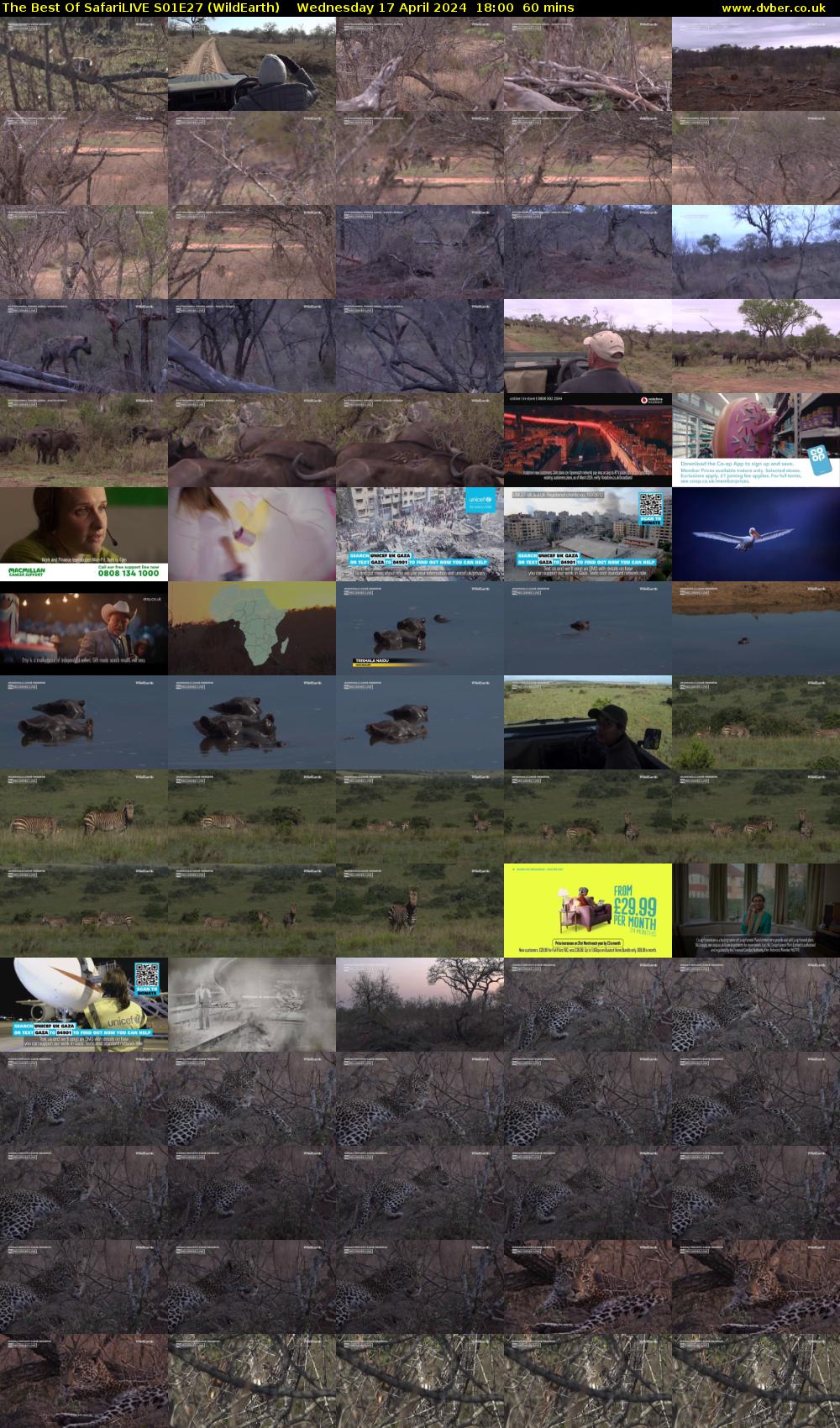 The Best Of SafariLIVE S01E27 (WildEarth) Wednesday 17 April 2024 18:00 - 19:00