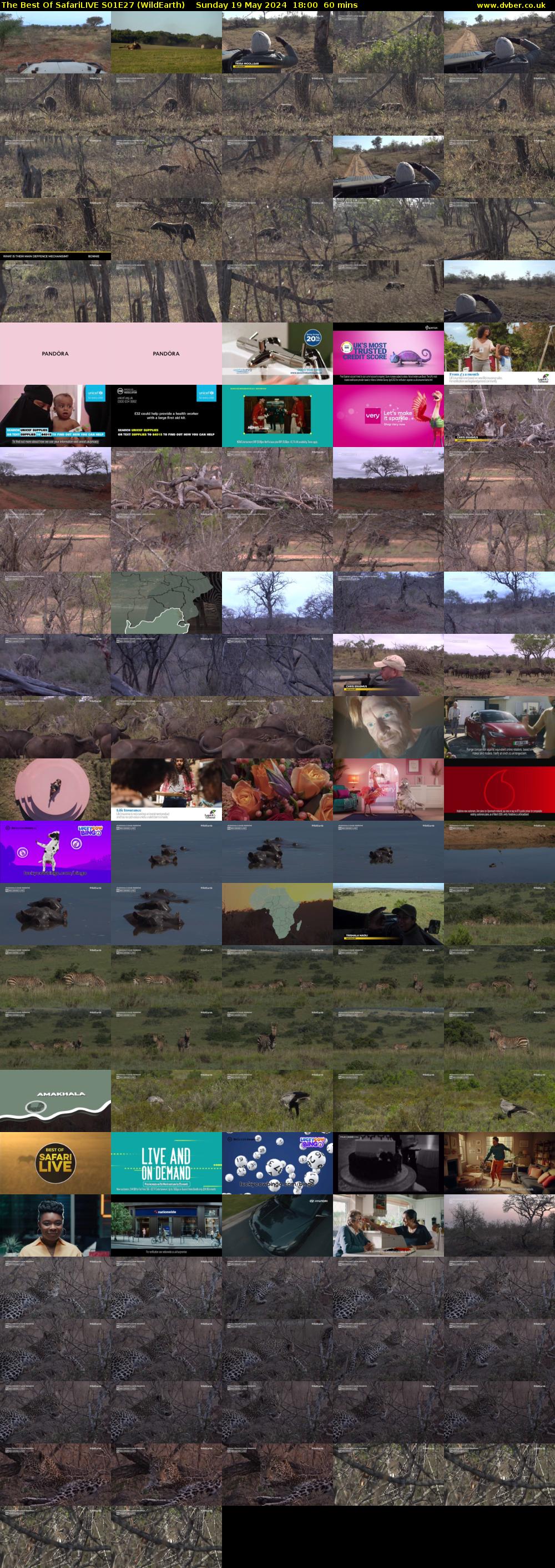 The Best Of SafariLIVE S01E27 (WildEarth) Sunday 19 May 2024 18:00 - 19:00