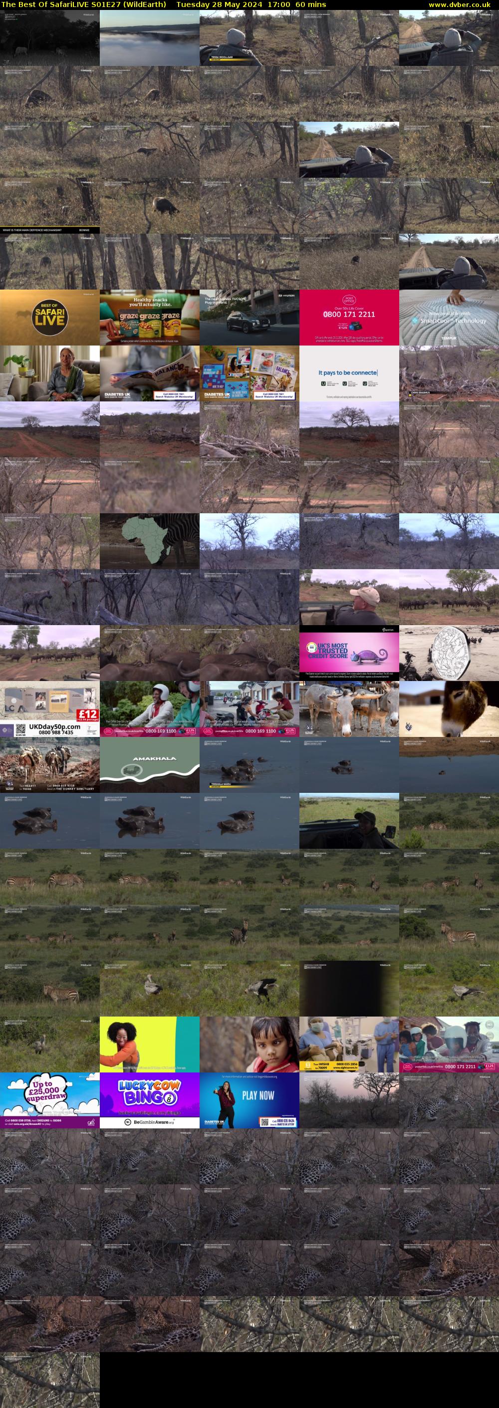 The Best Of SafariLIVE S01E27 (WildEarth) Tuesday 28 May 2024 17:00 - 18:00