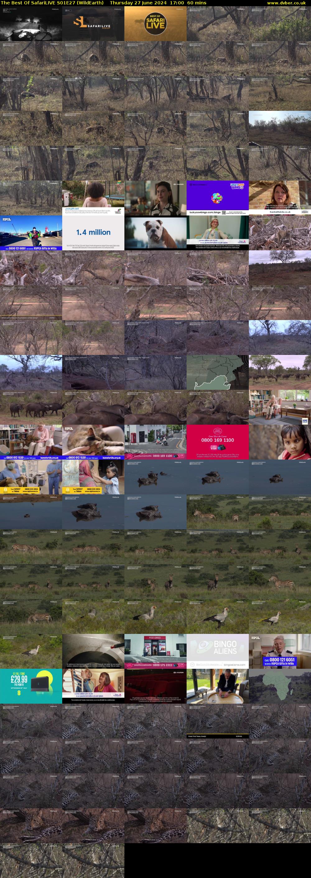 The Best Of SafariLIVE S01E27 (WildEarth) Thursday 27 June 2024 17:00 - 18:00