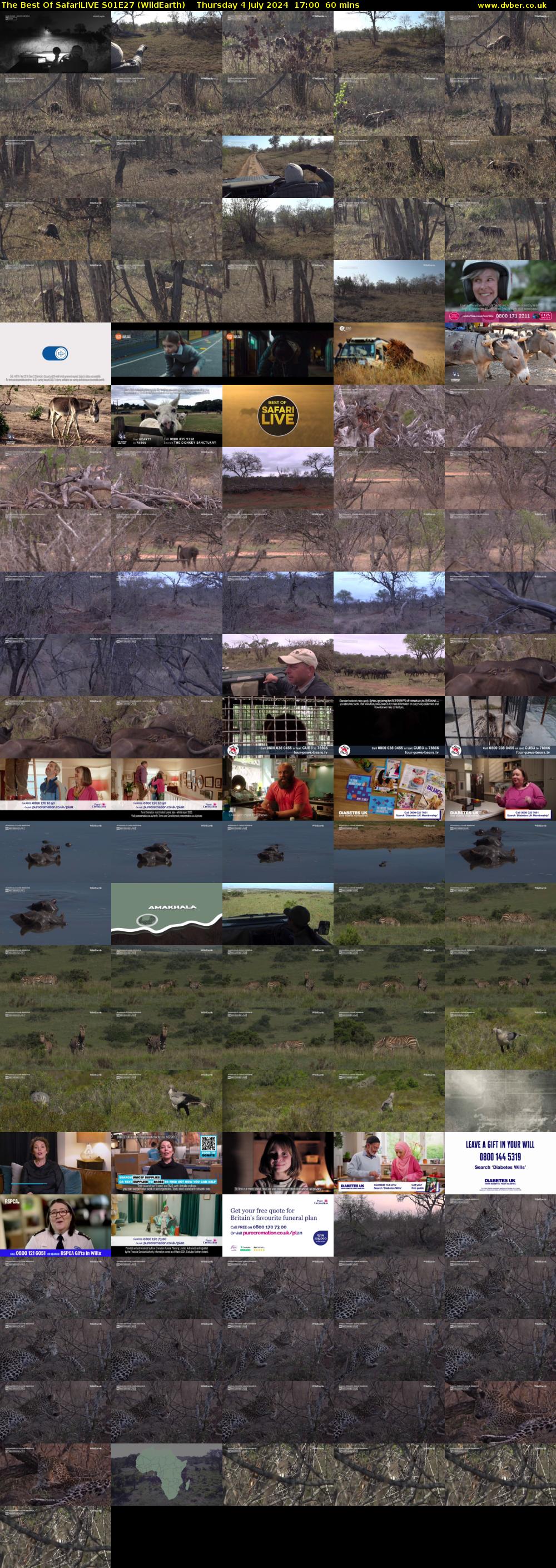 The Best Of SafariLIVE S01E27 (WildEarth) Thursday 4 July 2024 17:00 - 18:00
