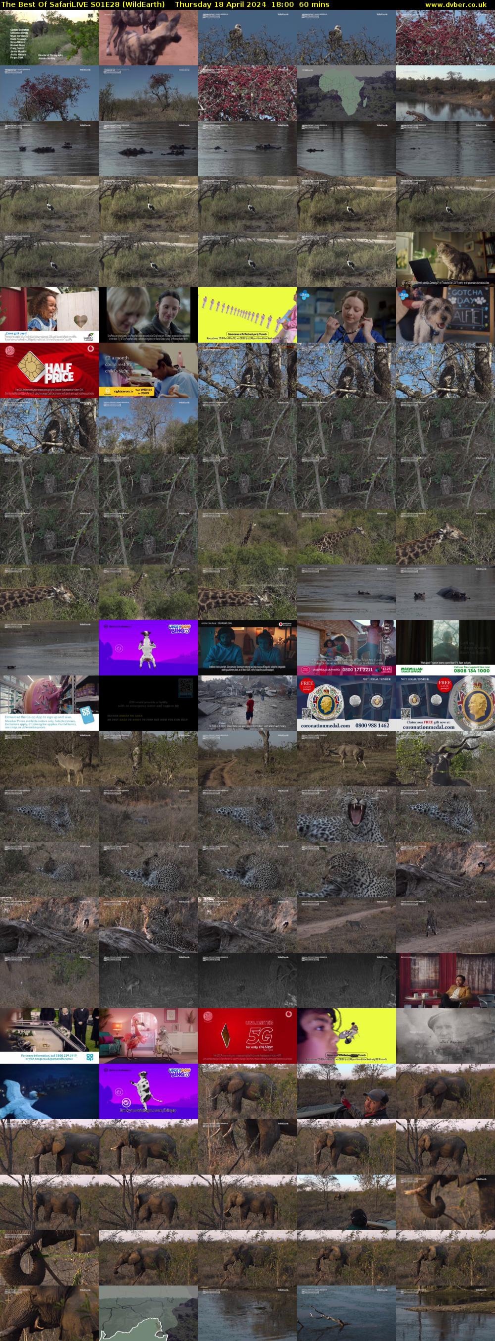 The Best Of SafariLIVE S01E28 (WildEarth) Thursday 18 April 2024 18:00 - 19:00